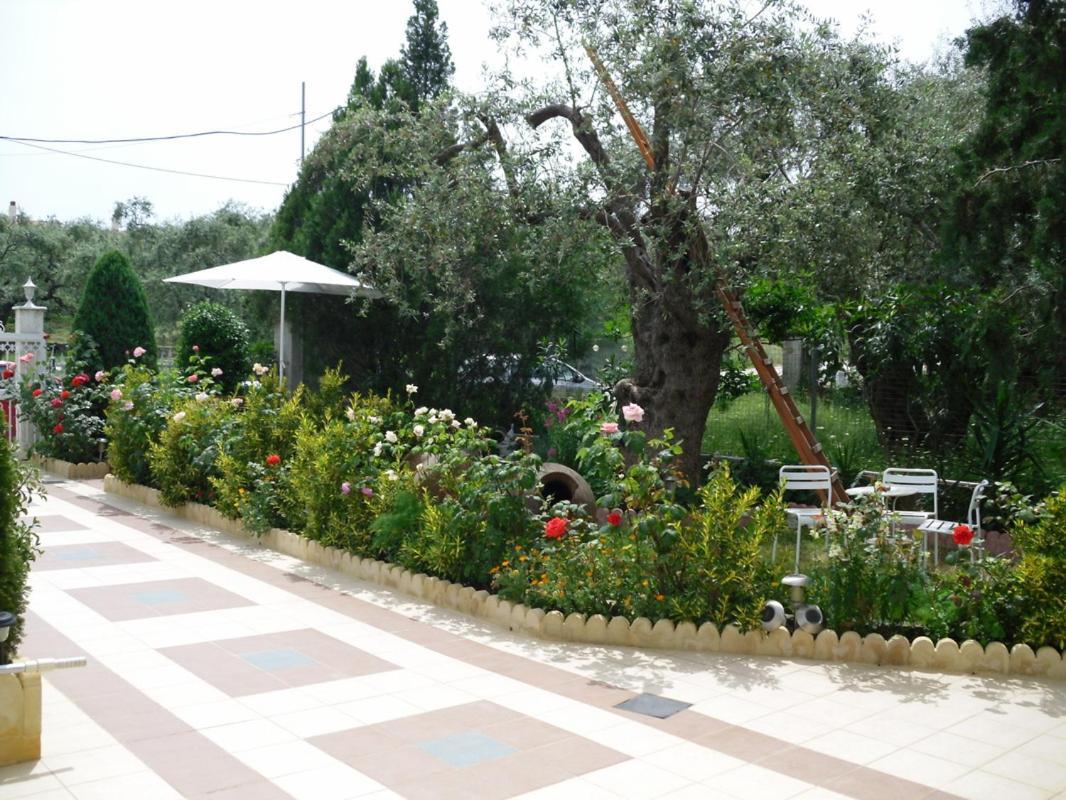 Ioli Apartments Limenas  Exterior photo