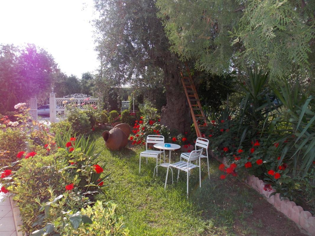 Ioli Apartments Limenas  Exterior photo